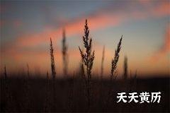 2022虎年农历五月十六安葬怎么样？