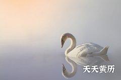 <b>十二值日中哪些是黑道日，黑道日可以出门吗？</b>