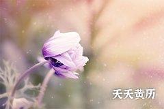 <b>乔迁吉日有黑道日，黑道日是不好的日子吗</b>