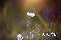 2022虎年农历五月初四安葬怎么样？