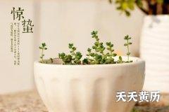 惊蛰节气阴天好吗？惊蛰时节要怎么穿衣？