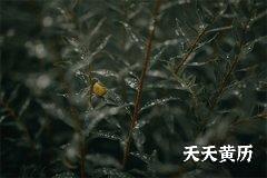 2022年农历五月十四是安葬好吗？