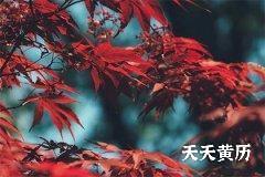 2022年十二月二十二日是不是黄道吉日？
