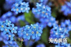 黑道日都不吉利吗，闭日黑道日是什么意思？