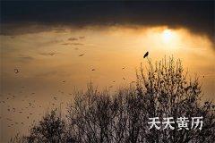 2022年农历六月初九日子怎么样？是黄道吉日吗？