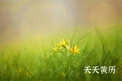 十二建星黄道日和黑道日吉凶，黄黑道日怎么区别？