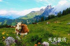 每个月黑道日破日是几号，建除黑道日择日吉凶歌