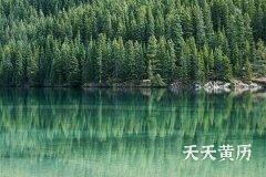 2023年有牢狱之灾的属相是什么？