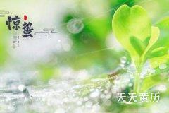 2023年惊蛰节气是几号？惊蛰节气时要注意什么？