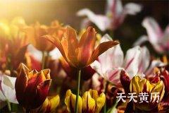 2022年农历三月二十四是好日子吗？有什么宜忌？