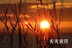 2022年的三伏天是哪日？三伏天减肥要注意什么？