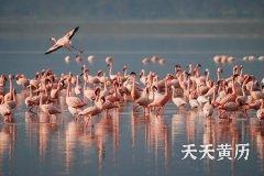 2022年农历六月二十二是好日子吗？有什么宜忌？