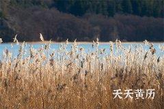 <b>白虎黑道日啥意思，黑道日有哪些</b>