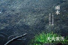 雨水节气有什么特点和风俗？