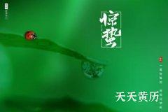 惊蛰节气可称为惊蛰节吗？惊蛰时节吃梨有哪些好处？