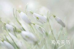 2022壬寅虎年农历六月初一能祭祀吗？