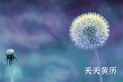 2023犯太岁戴什么首饰能化解？