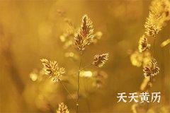 破日是什么，黄历中的破日是不是吉利的日子