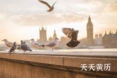 黑道日都有哪些？每月的黑道日查询
